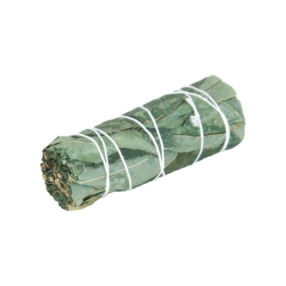 Eucalyptus Bundle