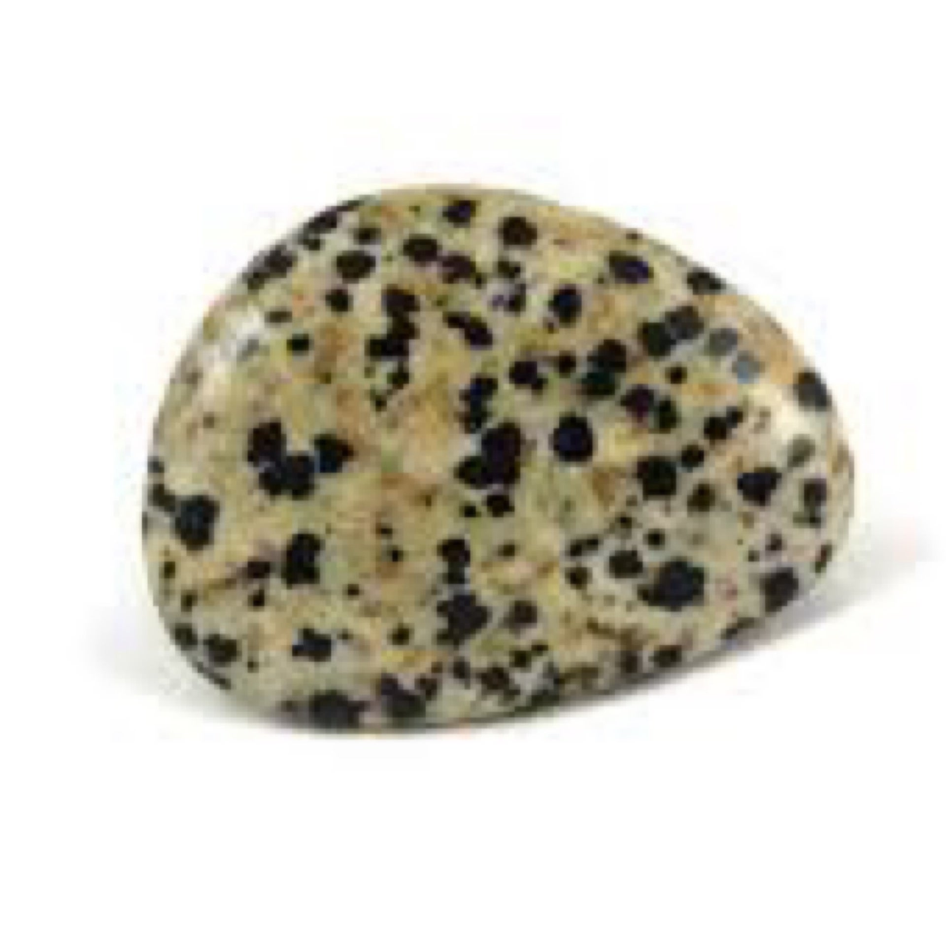 Tumbled Dalmatian Jasper