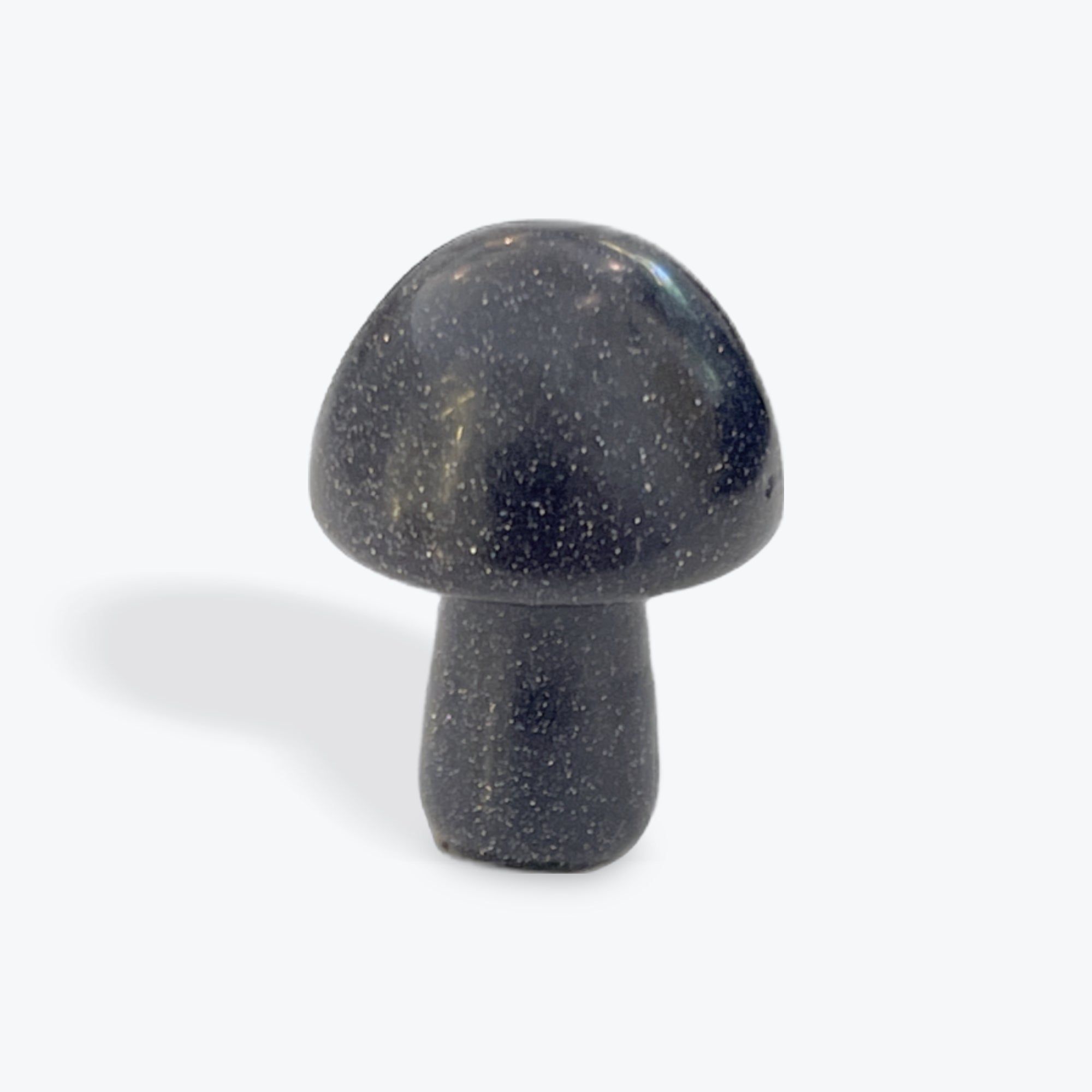Blue Goldstone Mushroom