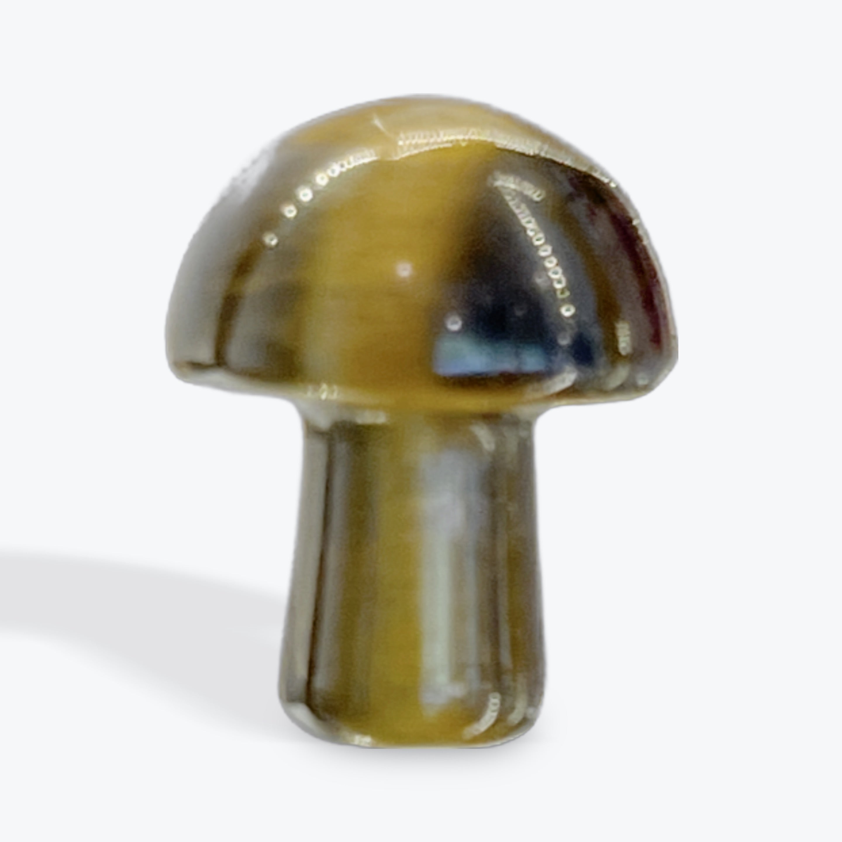 Tiger Eye Mushroom