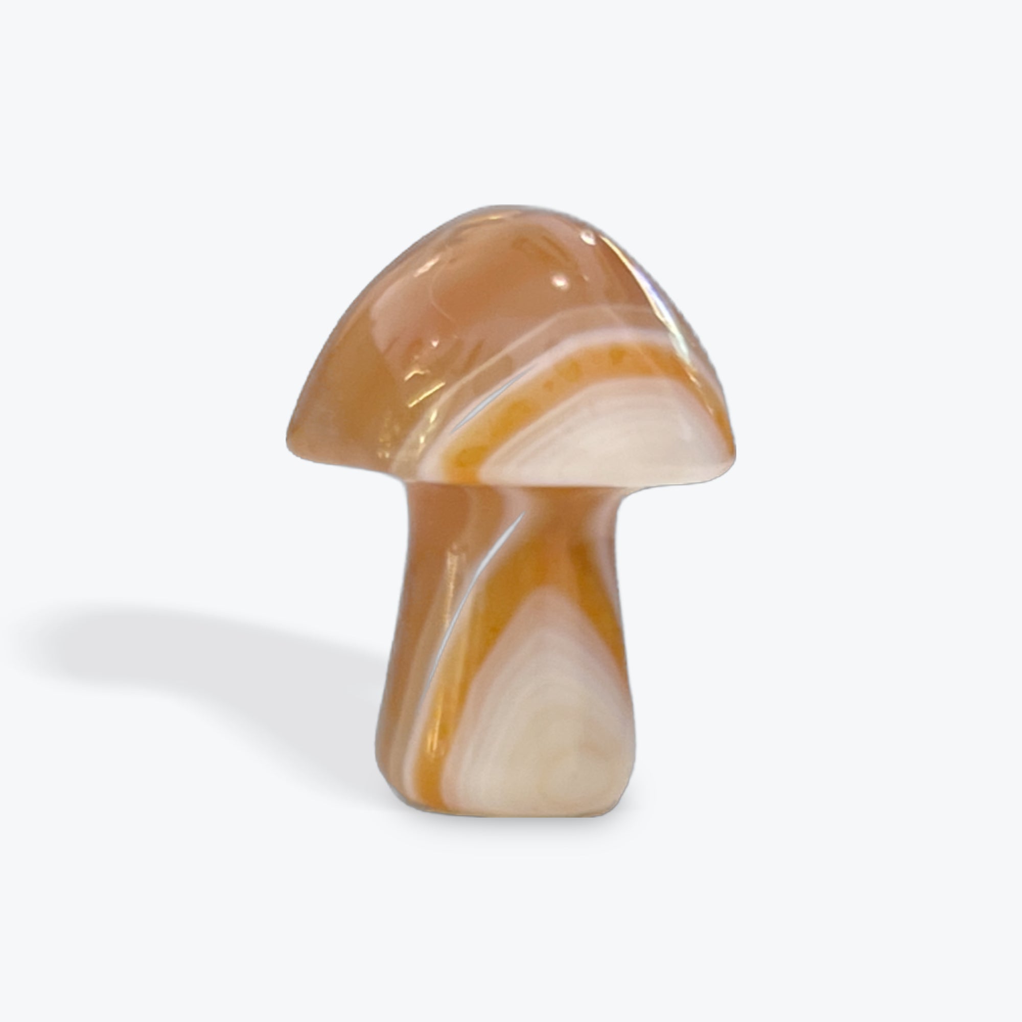 Carnelian Mushroom