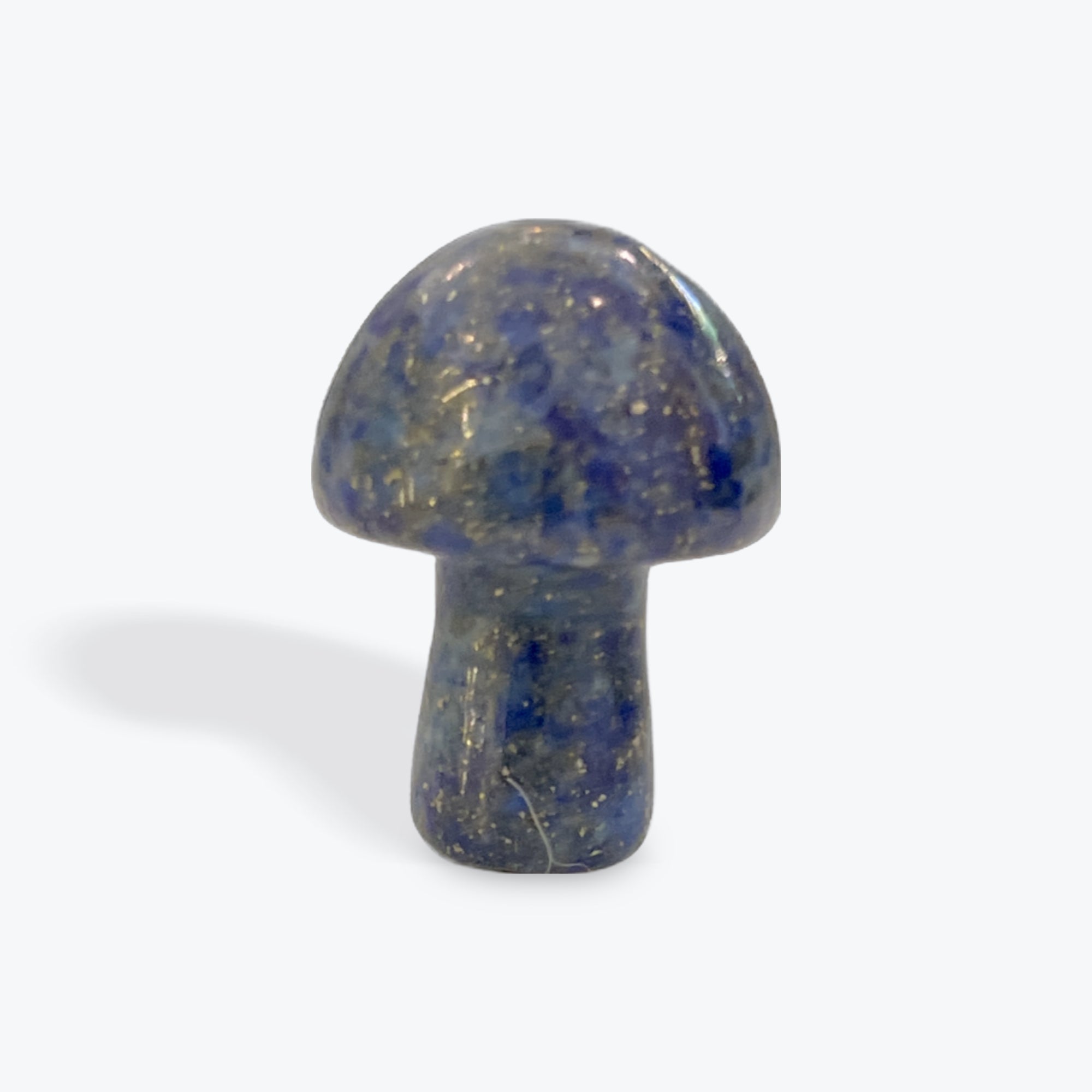 Lapis Lazuli Mushroom