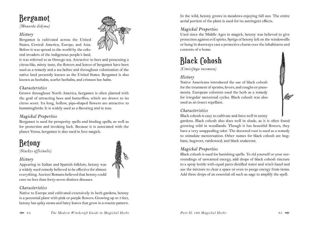 Modern Witchcraft Guide to Magickal Herbs by Judy Ann Nock: Hardcover; 240 pages, English, photo 5 of 7