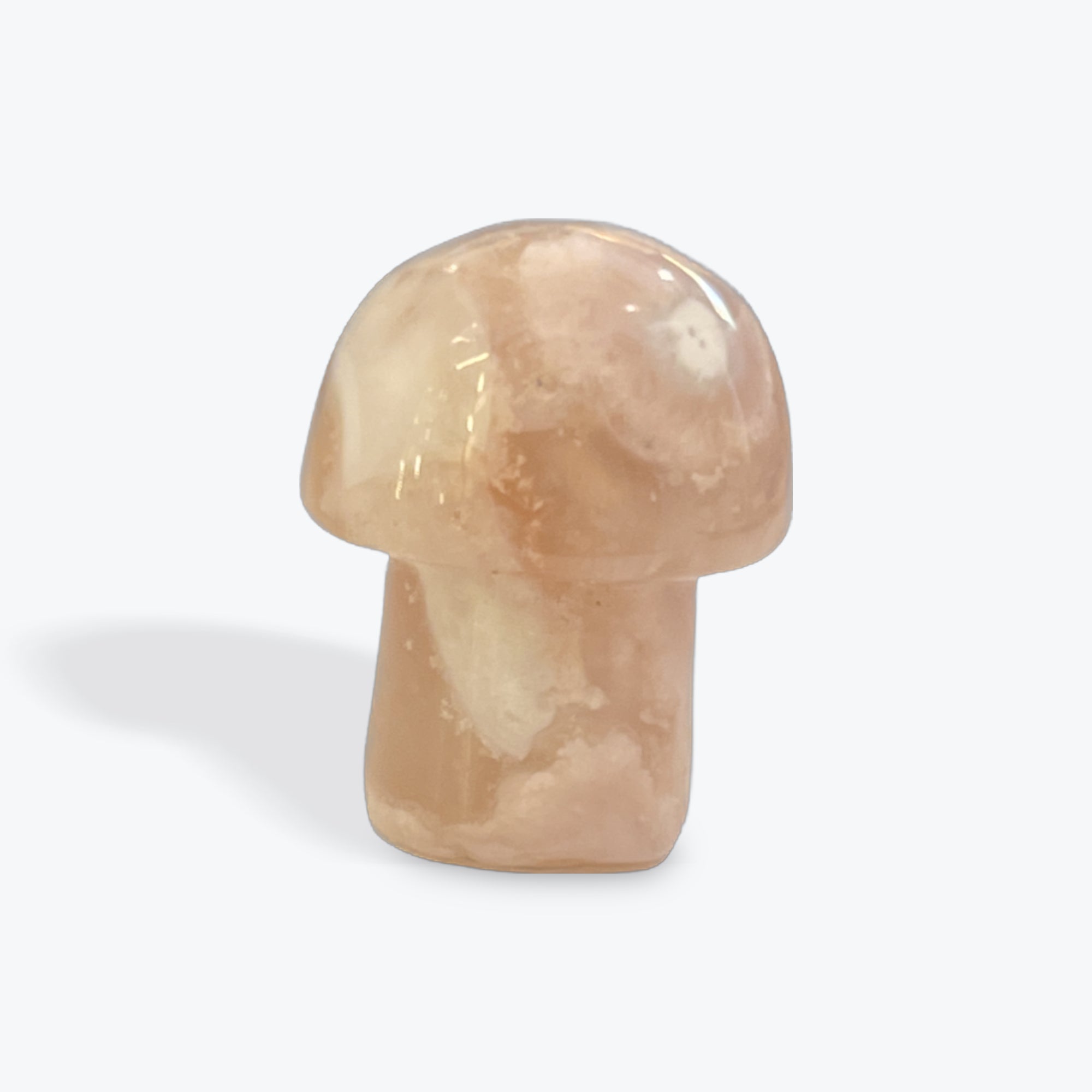 Flower Agate Mushroom