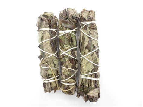 Yerba Santa