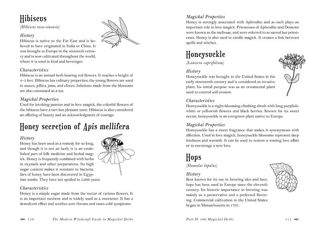 Modern Witchcraft Guide to Magickal Herbs by Judy Ann Nock: Hardcover; 240 pages, English, photo 6 of 7