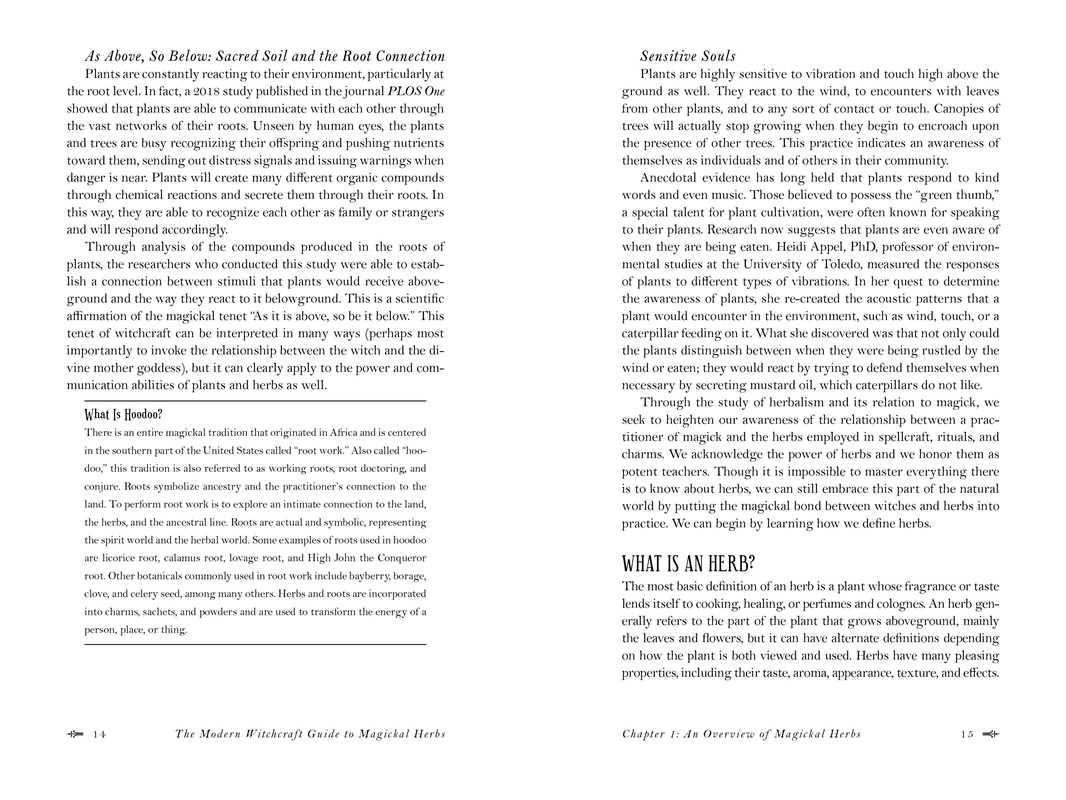 Modern Witchcraft Guide to Magickal Herbs by Judy Ann Nock: Hardcover; 240 pages, English, photo 2 of 7