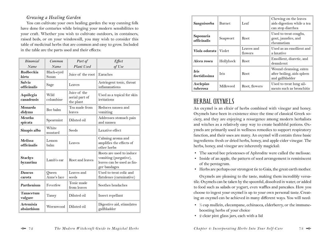 Modern Witchcraft Guide to Magickal Herbs by Judy Ann Nock: Hardcover; 240 pages, English, photo 4 of 7